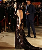 Filename=FPBR009.jpg
Filesize=782KiB
Dimensions=1426x2048
Date added=Feb 15, 2024 FPBR009.jpg