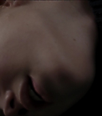313.jpg
