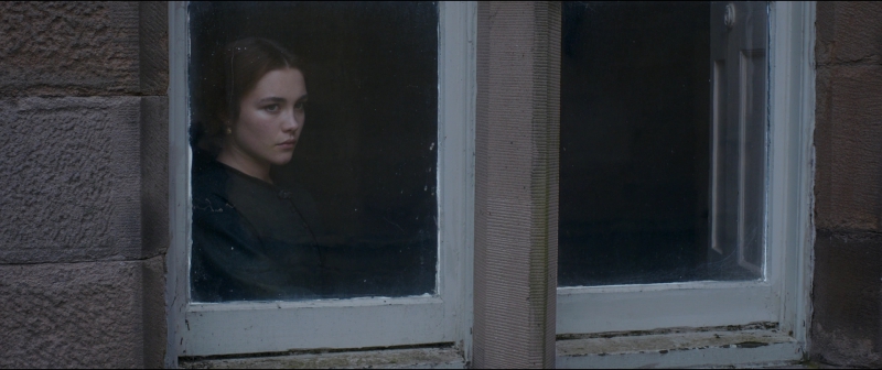 442.jpg