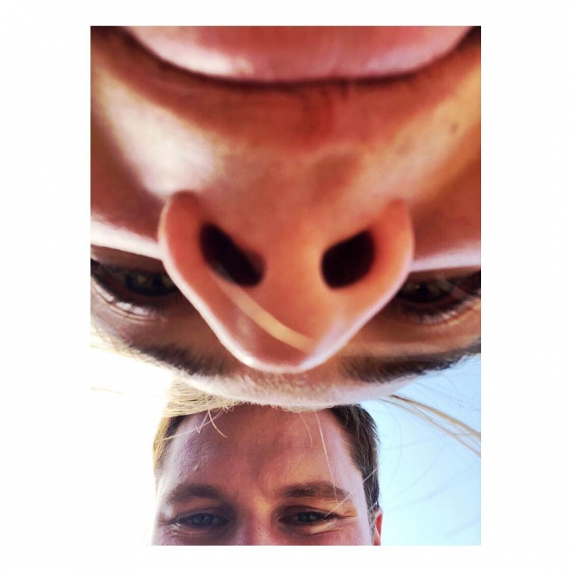 009.jpg