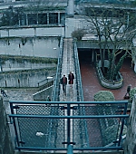 233.jpg
