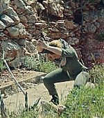 118.jpg