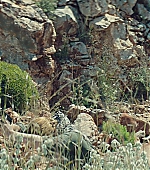 119.jpg