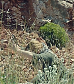 120.jpg