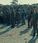 341.jpg