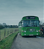 685.jpg