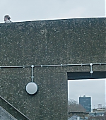192.jpg
