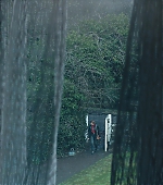 239.jpg