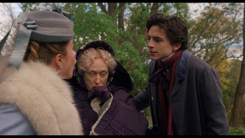 Little_Women_2019_1080p_BluRay_01174.jpg