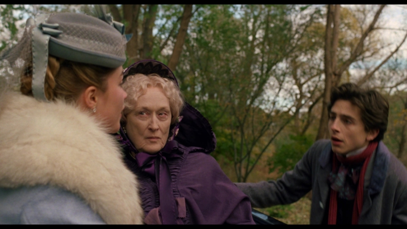 Little_Women_2019_1080p_BluRay_01183.jpg