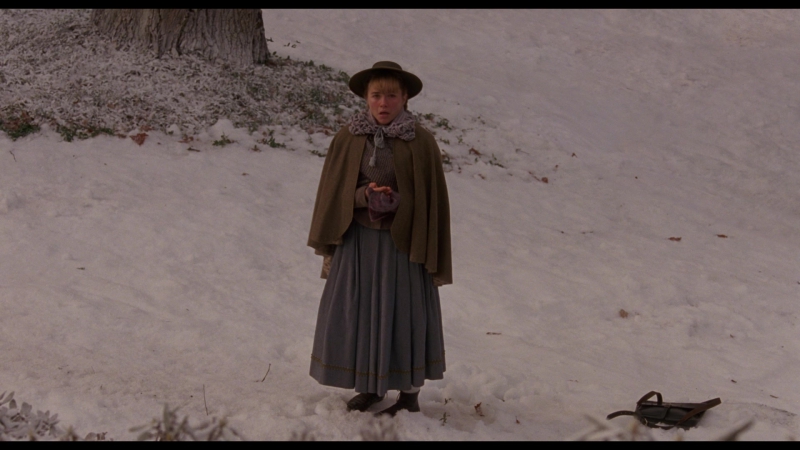 Little_Women_2019_1080p_BluRay_05515.jpg