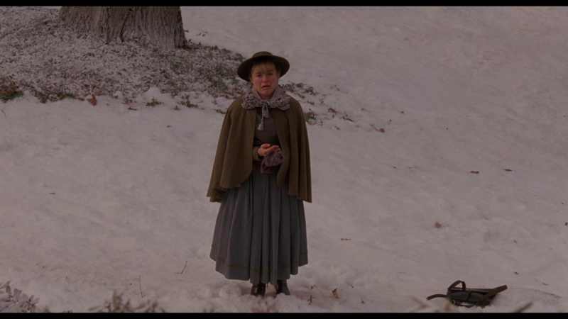 Little_Women_2019_1080p_BluRay_05532.jpg