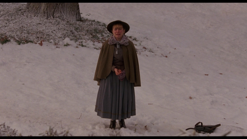 Little_Women_2019_1080p_BluRay_05541.jpg