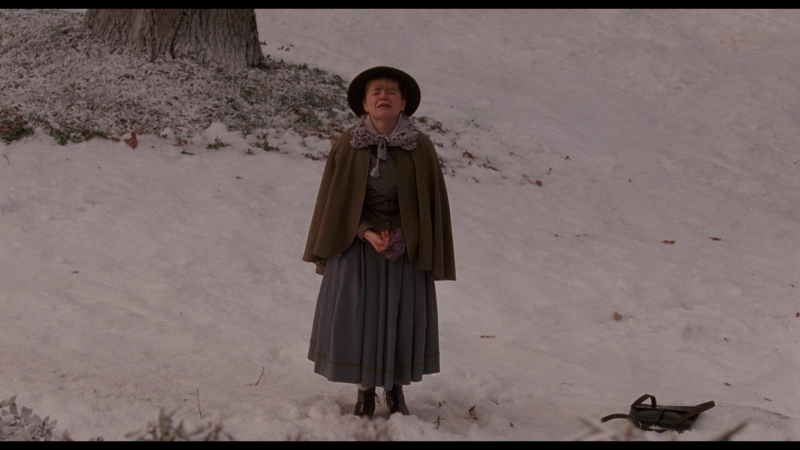 Little_Women_2019_1080p_BluRay_05545.jpg