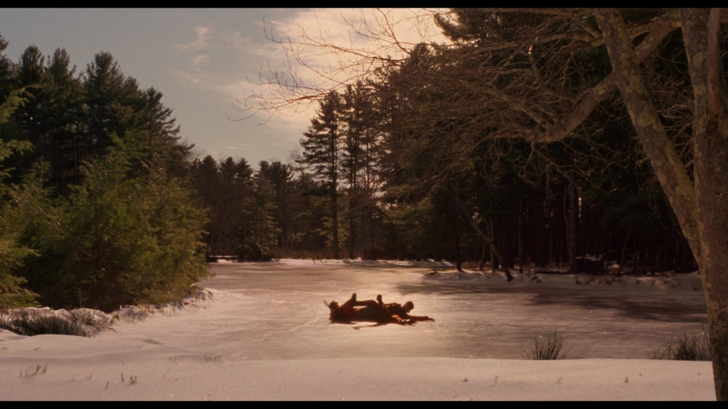 Little_Women_2019_1080p_BluRay_07354.jpg
