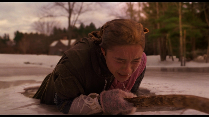Little_Women_2019_1080p_BluRay_07432.jpg