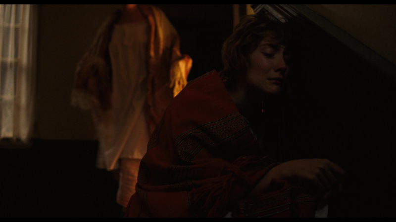 Little_Women_2019_1080p_BluRay_10528.jpg