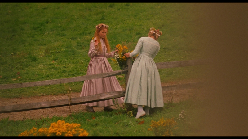Little_Women_2019_1080p_BluRay_13161.jpg