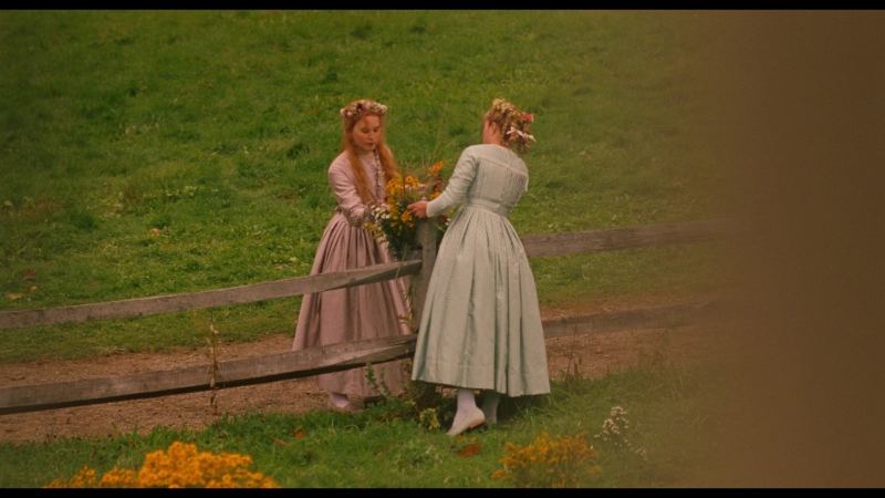 Little_Women_2019_1080p_BluRay_13165.jpg