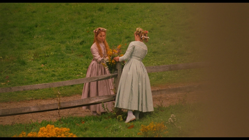 Little_Women_2019_1080p_BluRay_13166.jpg