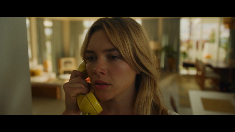 Dont_Worry_Darling_2022_1080p_BluRay__05825.jpg
