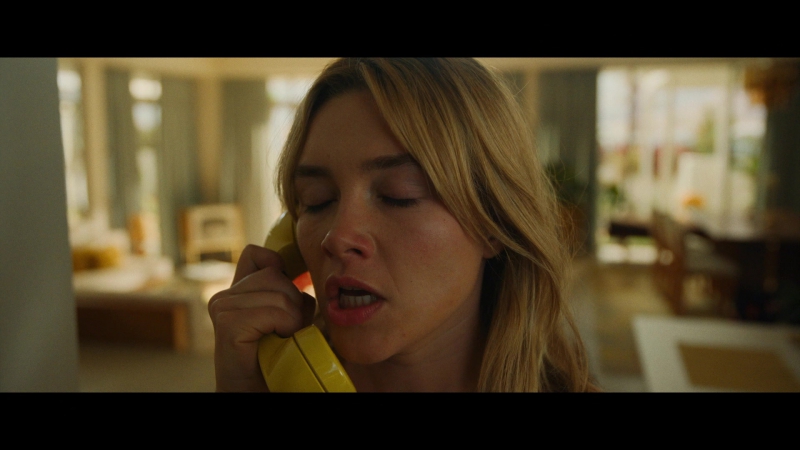 Dont_Worry_Darling_2022_1080p_BluRay__05830.jpg