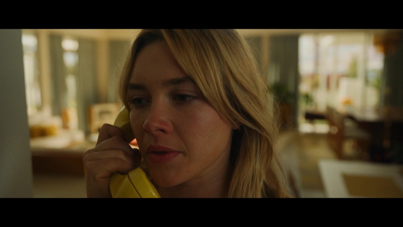 Dont_Worry_Darling_2022_1080p_BluRay__05834.jpg