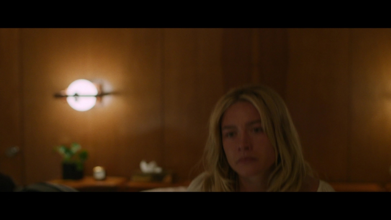 Dont_Worry_Darling_2022_1080p_BluRay__06339.jpg