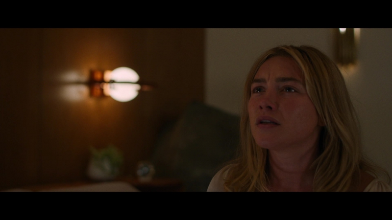 Dont_Worry_Darling_2022_1080p_BluRay__06459.jpg