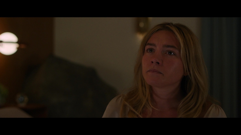 Dont_Worry_Darling_2022_1080p_BluRay__06467.jpg