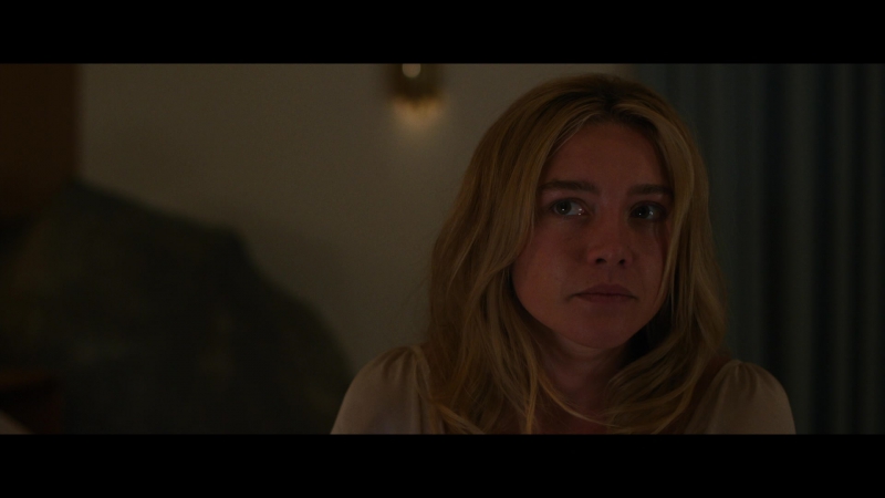 Dont_Worry_Darling_2022_1080p_BluRay__06497.jpg