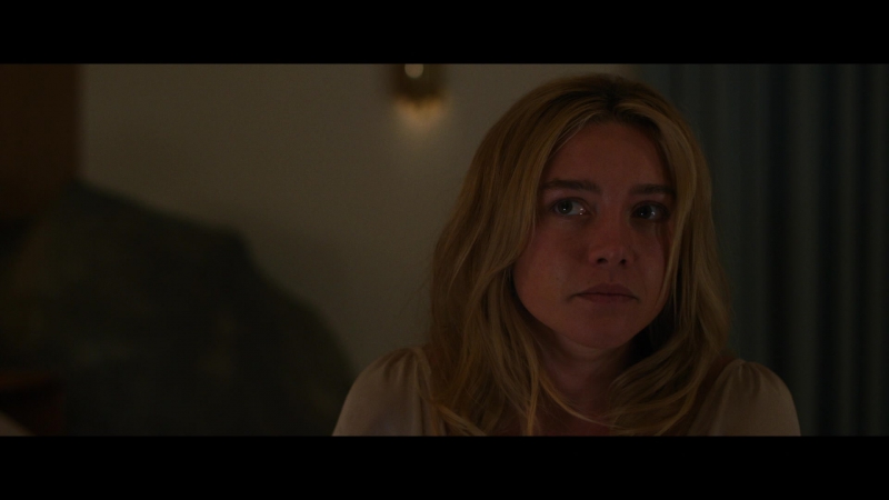 Dont_Worry_Darling_2022_1080p_BluRay__06498.jpg