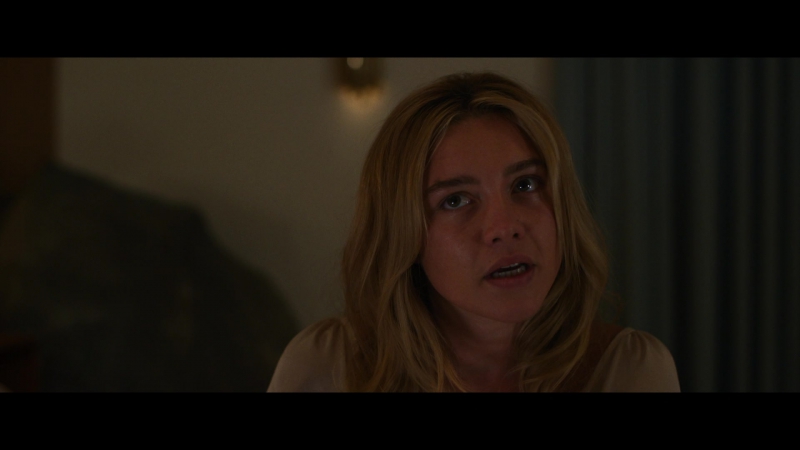 Dont_Worry_Darling_2022_1080p_BluRay__06543.jpg
