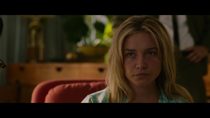Dont_Worry_Darling_2022_1080p_BluRay__07075.jpg