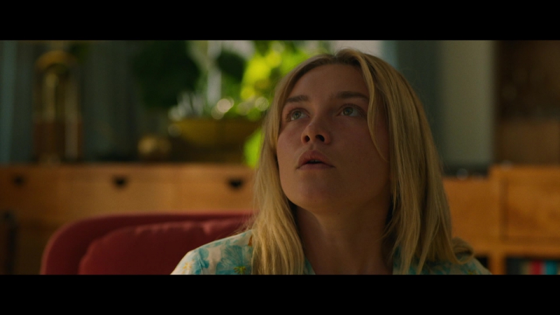 Dont_Worry_Darling_2022_1080p_BluRay__07105.jpg