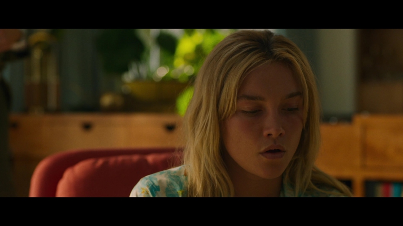 Dont_Worry_Darling_2022_1080p_BluRay__07108.jpg