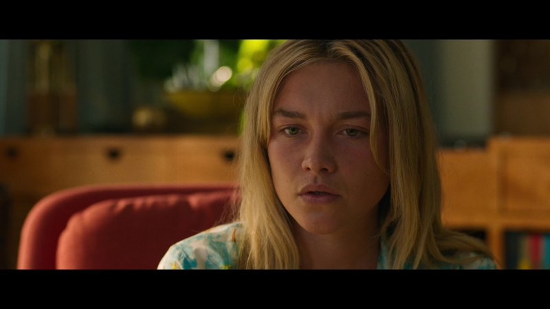 Dont_Worry_Darling_2022_1080p_BluRay__07213.jpg