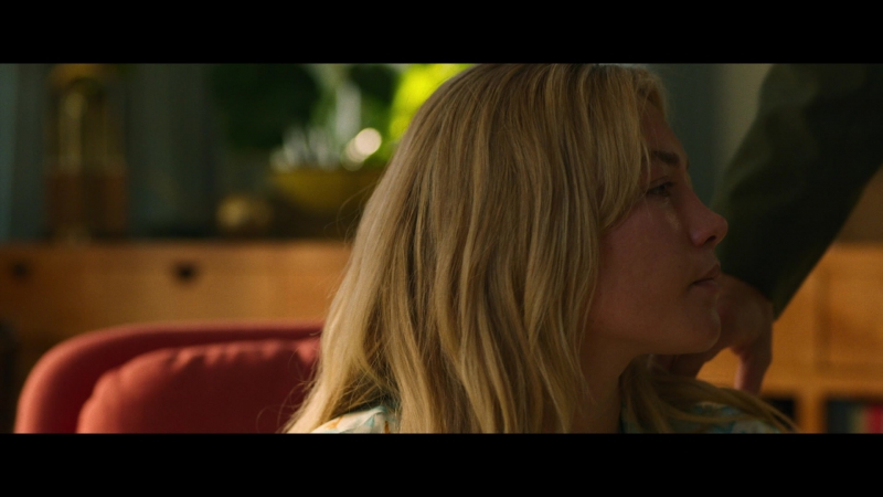 Dont_Worry_Darling_2022_1080p_BluRay__07238.jpg