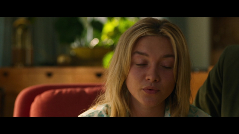 Dont_Worry_Darling_2022_1080p_BluRay__07351.jpg