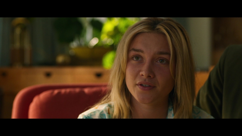 Dont_Worry_Darling_2022_1080p_BluRay__07353.jpg