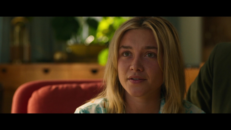 Dont_Worry_Darling_2022_1080p_BluRay__07354.jpg