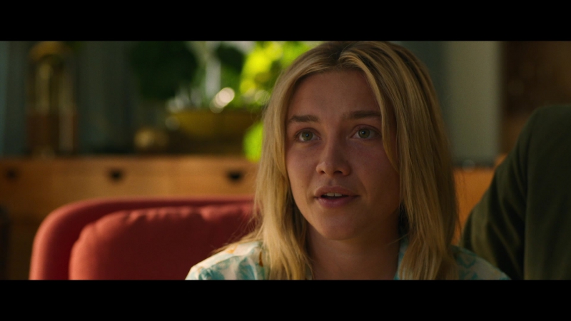 Dont_Worry_Darling_2022_1080p_BluRay__07355.jpg