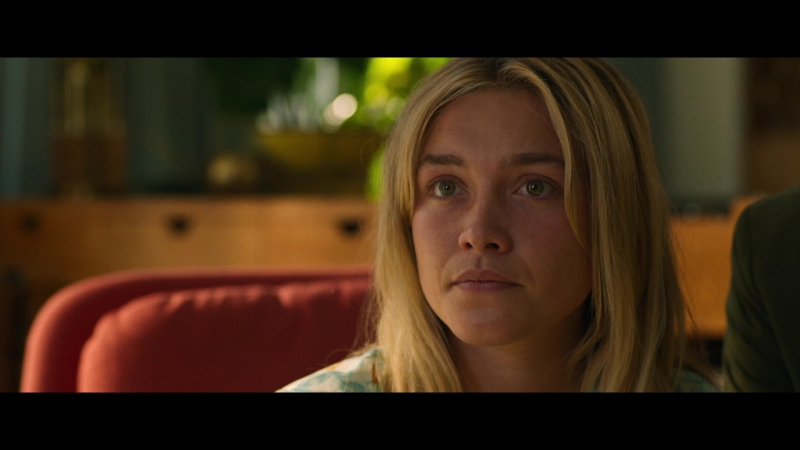 Dont_Worry_Darling_2022_1080p_BluRay__07385.jpg