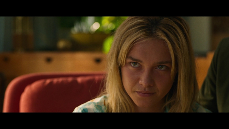 Dont_Worry_Darling_2022_1080p_BluRay__07438.jpg