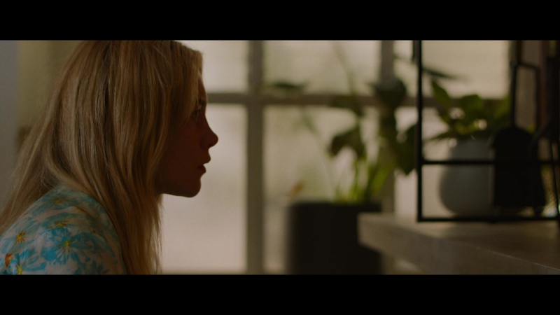 Dont_Worry_Darling_2022_1080p_BluRay__07776.jpg
