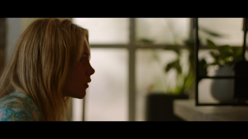 Dont_Worry_Darling_2022_1080p_BluRay__07813.jpg