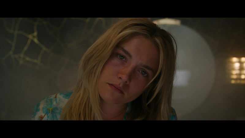 Dont_Worry_Darling_2022_1080p_BluRay__07945.jpg