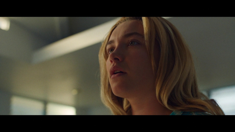 Dont_Worry_Darling_2022_1080p_BluRay__09877.jpg