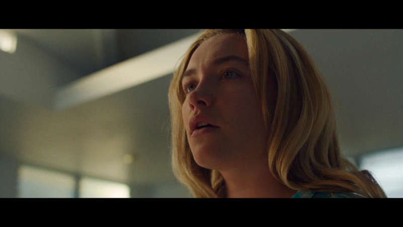 Dont_Worry_Darling_2022_1080p_BluRay__09879.jpg