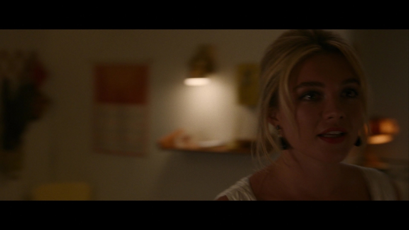Dont_Worry_Darling_2022_1080p_BluRay__10235.jpg